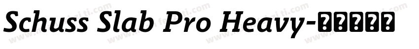 Schuss Slab Pro Heavy字体转换